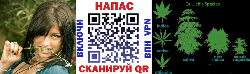 Продажа наркотиков Шагонар Гашиш Марихуана БУТИРАТ МЕФ Cocaine СК