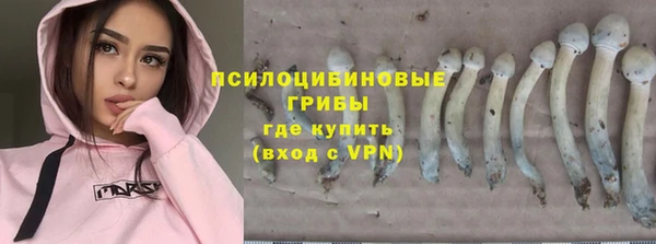 мяу мяу кристалл Медвежьегорск