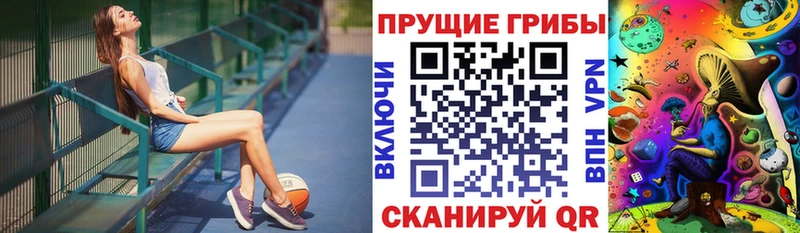 наркошоп  Шагонар  Псилоцибиновые грибы ЛСД 