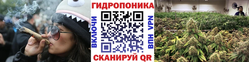 продажа наркотиков  Шагонар  МАРИХУАНА THC 21% 